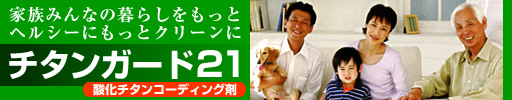 �����󥬡���21